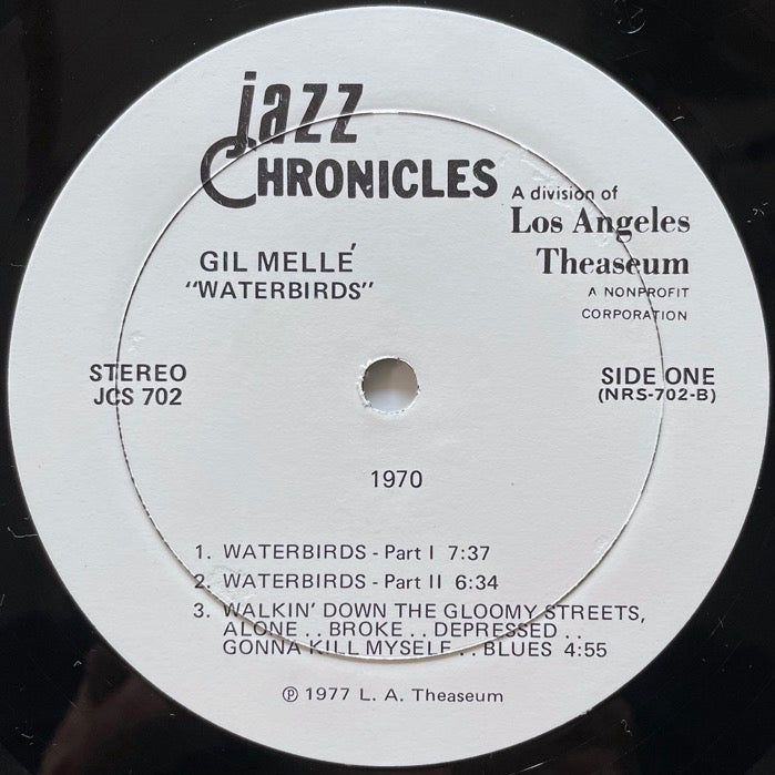 GIL MELLE / WATERBIRDS - US Jazz Chronicles