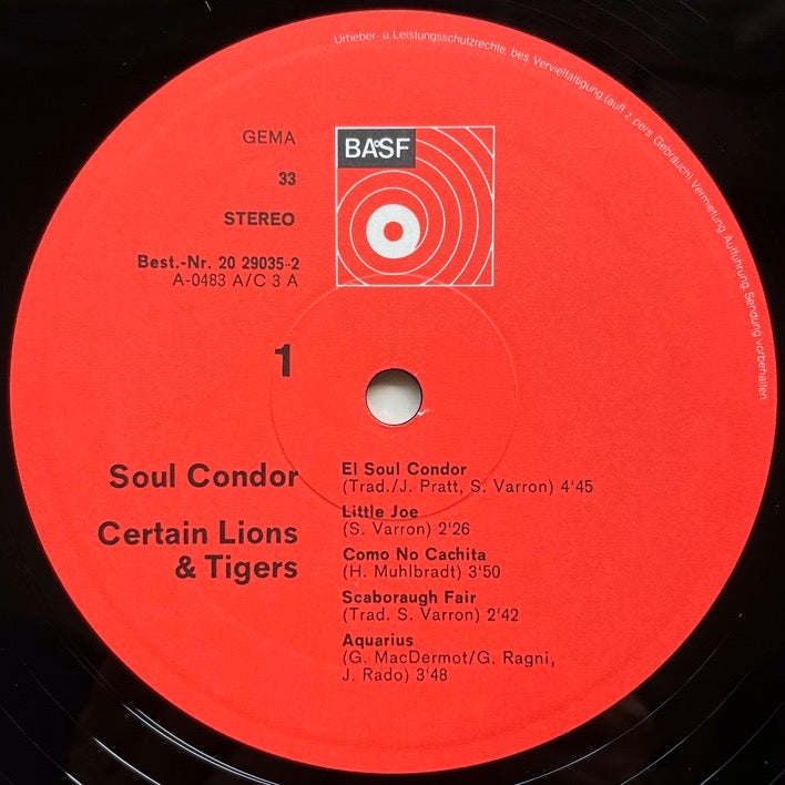 CERTAIN LIONS & TIGERS/ SOUL CONDOR