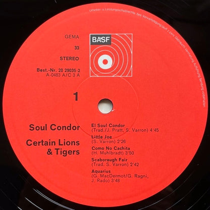 CERTAIN LIONS & TIGERS/ SOUL CONDOR